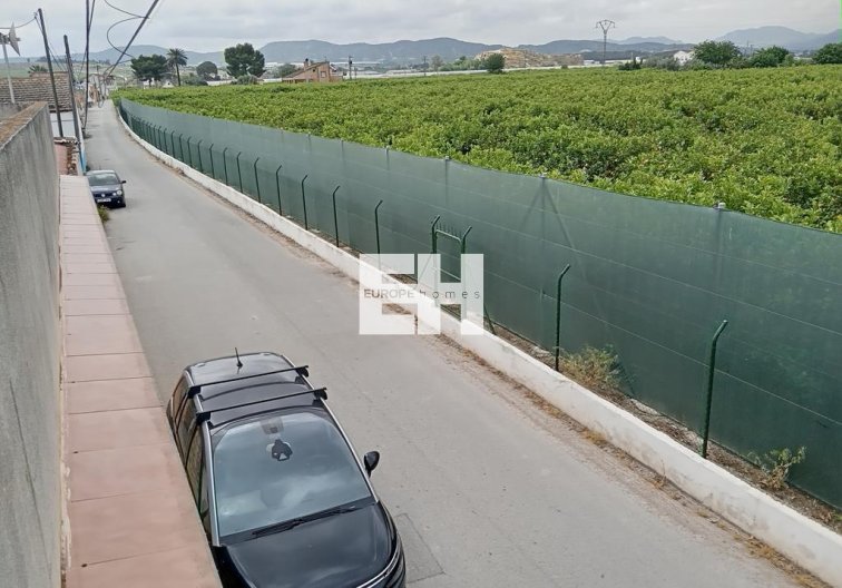 Segunda mano - Finca - Orihuela - BUENA VIDA DESAMPARADOS