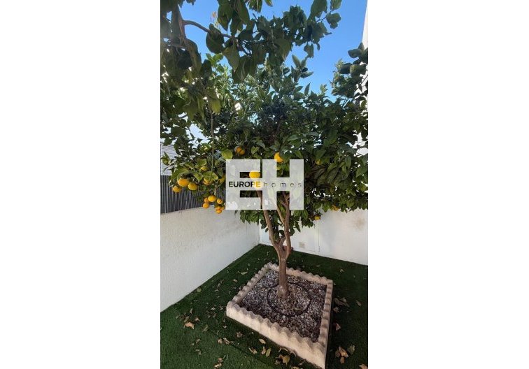 Revente - town house - Torrevieja - Aguas Nuevas
