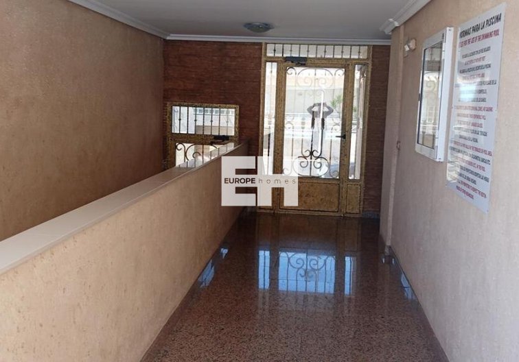 Segunda mano - Apartamento  - Los Montesinos - PUEBLO CENTRO
