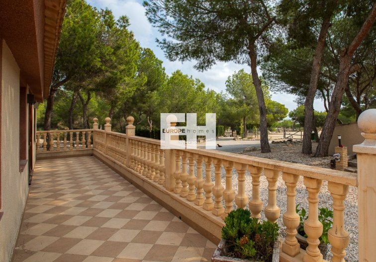 Revente - Maison de campagne - Torremendo - Costa Blanca