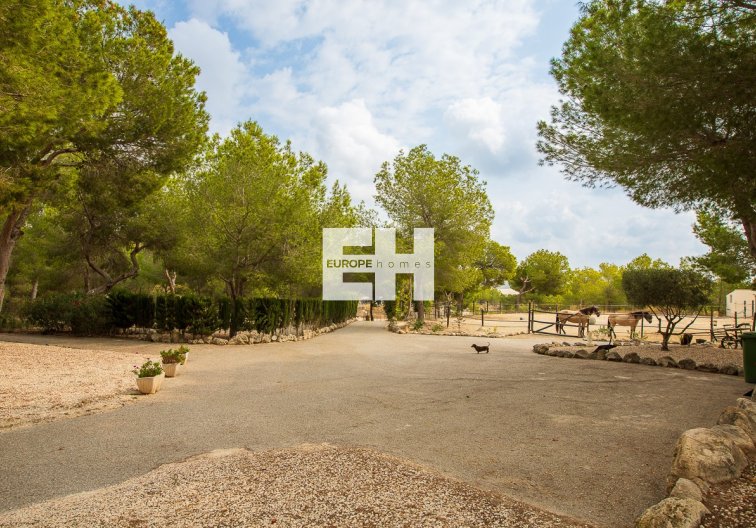 Revente - Maison de campagne - Torremendo - Costa Blanca