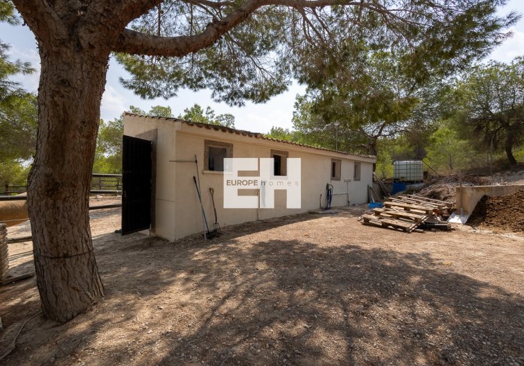 Revente - Maison de campagne - Torremendo - Costa Blanca