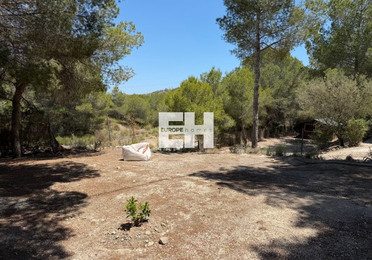 Segunda mano - Finca - Orihuela - Inland