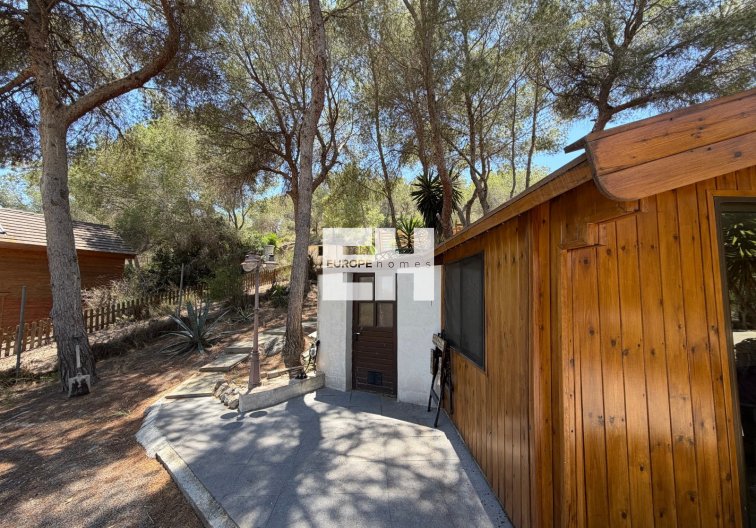 Segunda mano - Finca - Orihuela - Inland