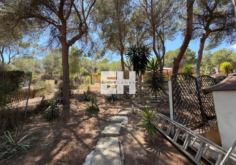 Segunda mano - Finca - Orihuela - Inland