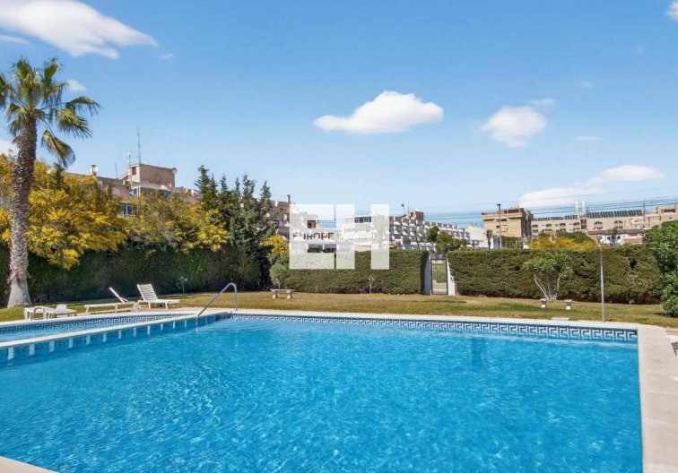 Wiederverkauf - Wohnung - Punta Prima - Costa Blanca