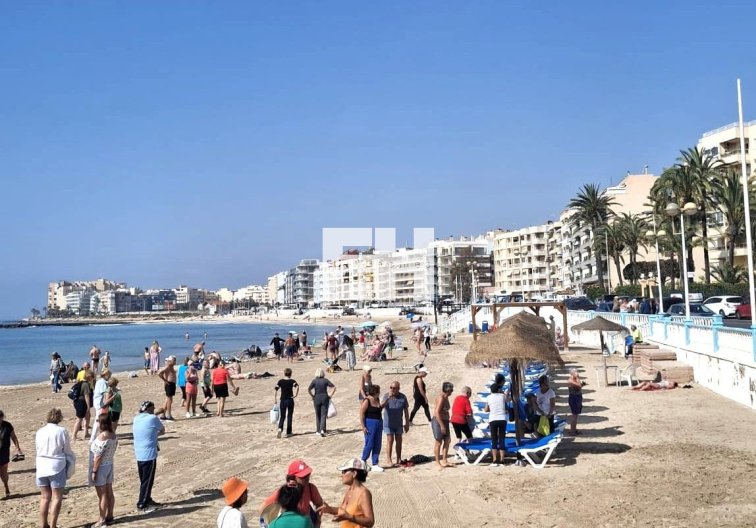 Wiederverkauf - Wohnung - Torrevieja - Centro