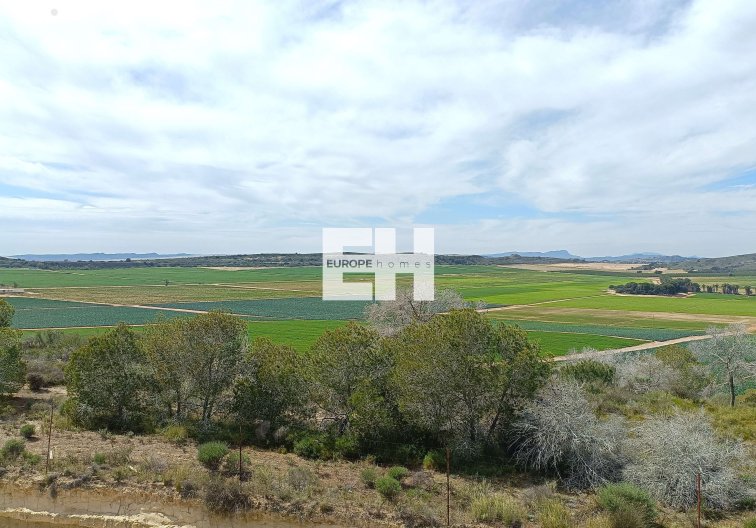 Revente - villa - Algorfa - Inland