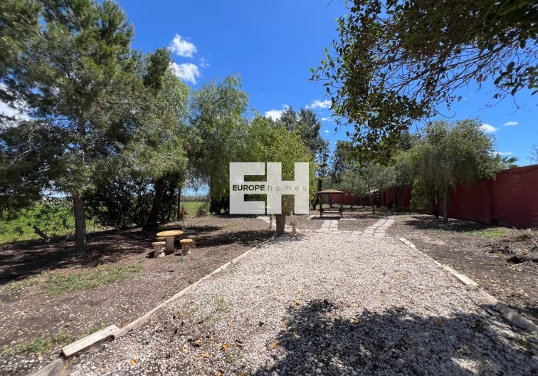 Wiederverkauf - Finca - Dolores - Comunidad Valenciana