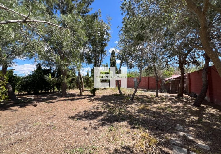 Wiederverkauf - Finca - Dolores - Comunidad Valenciana