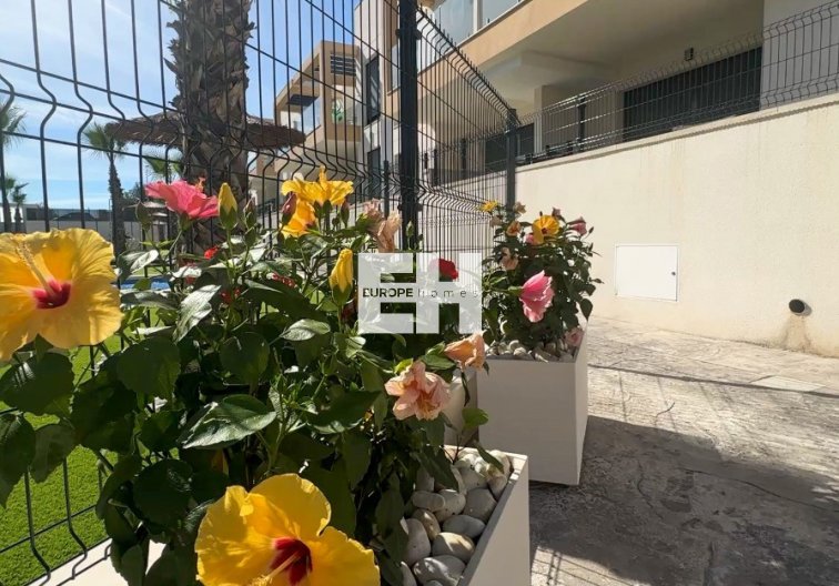 Herverkoop - Appartement - Orihuela Costa - Costa Blanca