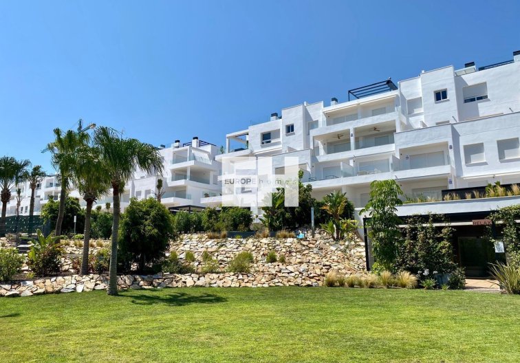 Wiederverkauf - Penthaus - Torrevieja - Punta Prima