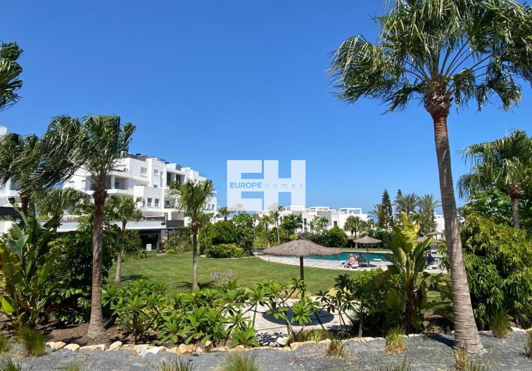 Wiederverkauf - Penthaus - Torrevieja - Punta Prima