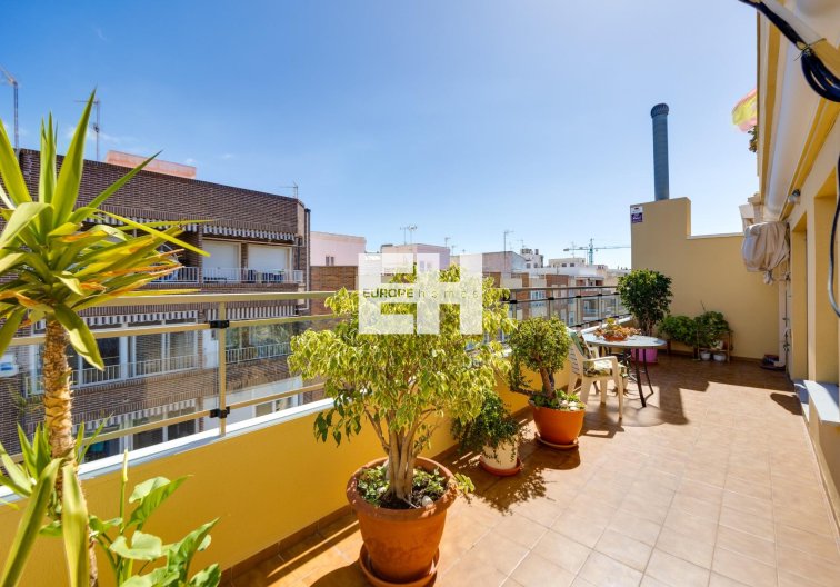 Wiederverkauf - Penthaus - Torrevieja - Centro