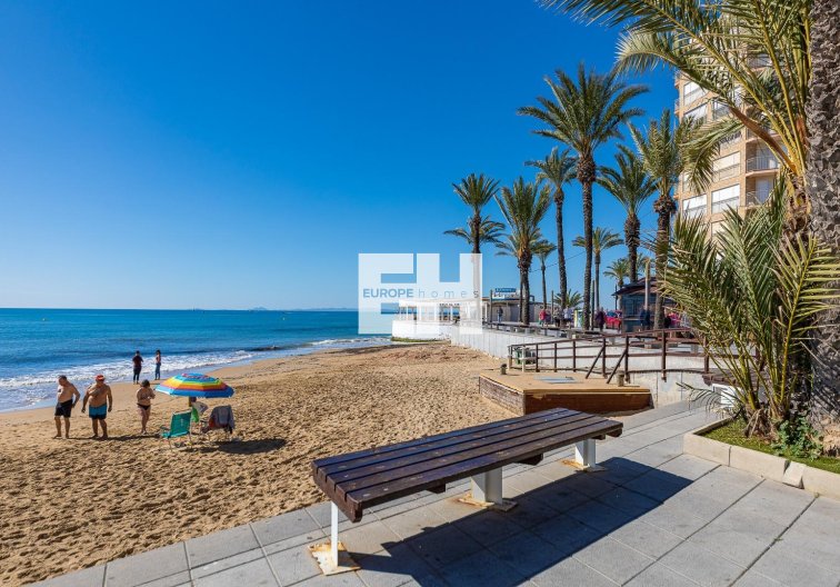 Wiederverkauf - Penthaus - Torrevieja - Centro