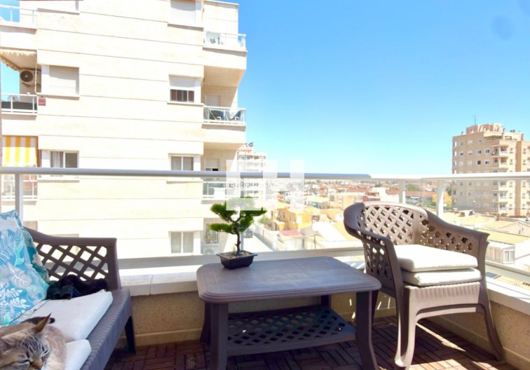 Wiederverkauf - Wohnung - Torrevieja - Costa Blanca