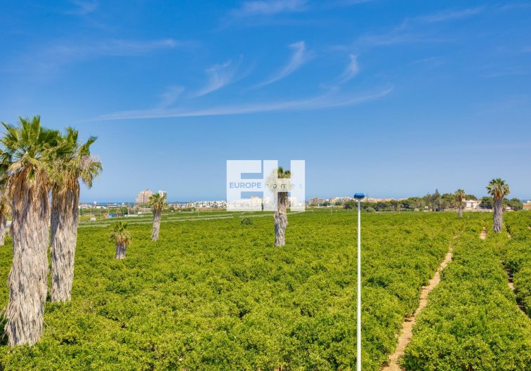 Revente - town house - Torrevieja - Los Balcones 