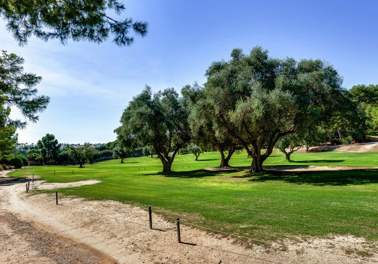 Segunda mano - villa - Villamartin - Costa Blanca