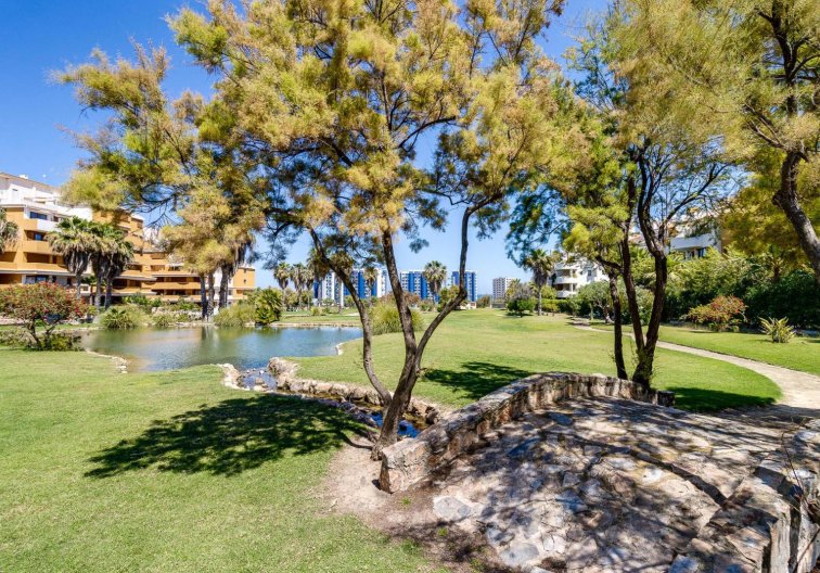 Segunda mano - Apartamento  - Torrevieja - Punta Prima