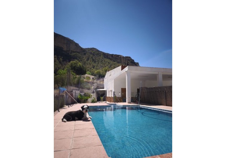 Resale - Country House - Crevillent - Inland