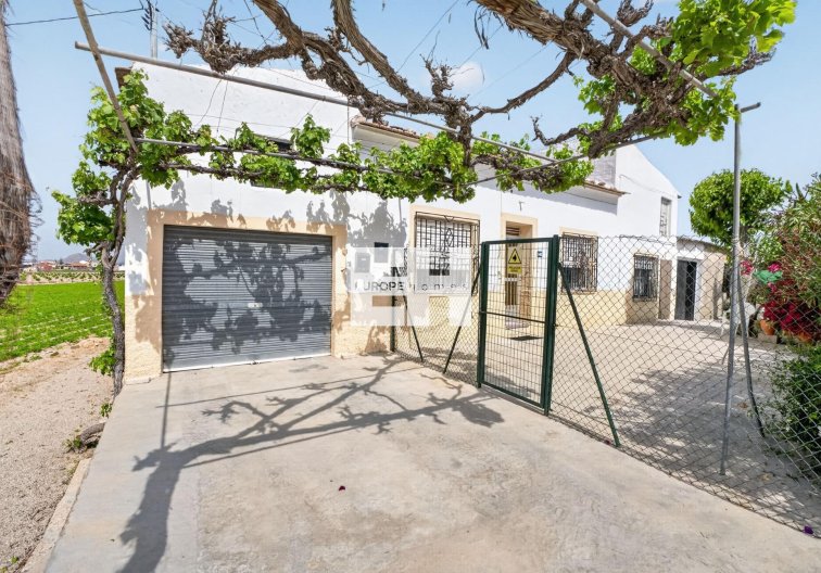 Resale - Finca - Orihuela - Desamparados-hurchillo-torremendo