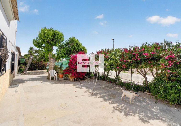 Resale - Finca - Orihuela - Desamparados-hurchillo-torremendo