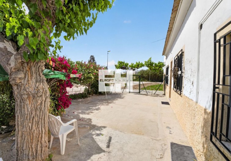 Resale - Finca - Orihuela - Desamparados-hurchillo-torremendo