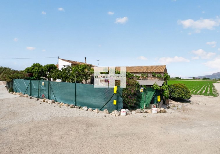 Resale - Finca - Orihuela - Desamparados-hurchillo-torremendo