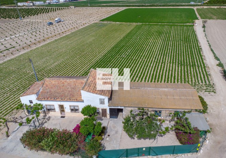 Resale - Finca - Orihuela - Desamparados-hurchillo-torremendo
