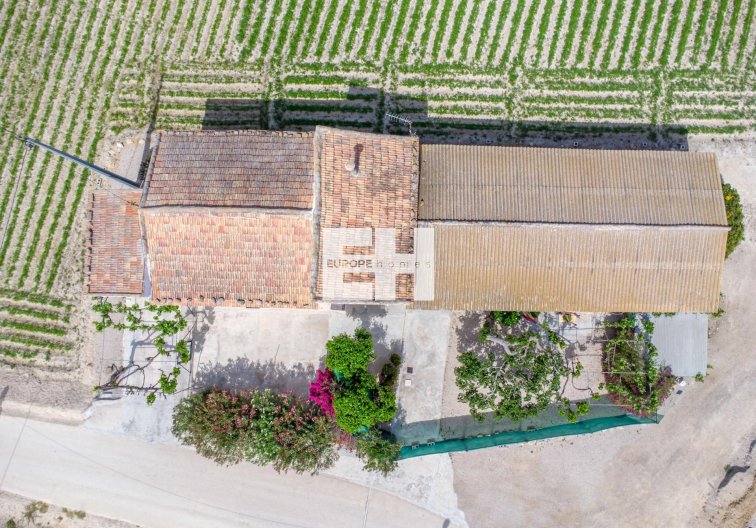Resale - Finca - Orihuela - Desamparados-hurchillo-torremendo