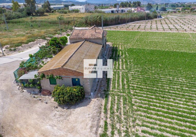 Resale - Finca - Orihuela - Desamparados-hurchillo-torremendo