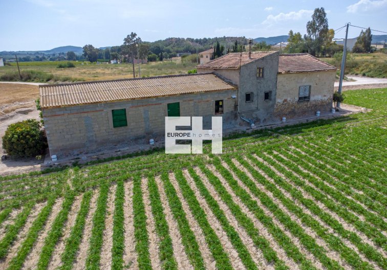 Resale - Finca - Orihuela - Desamparados-hurchillo-torremendo