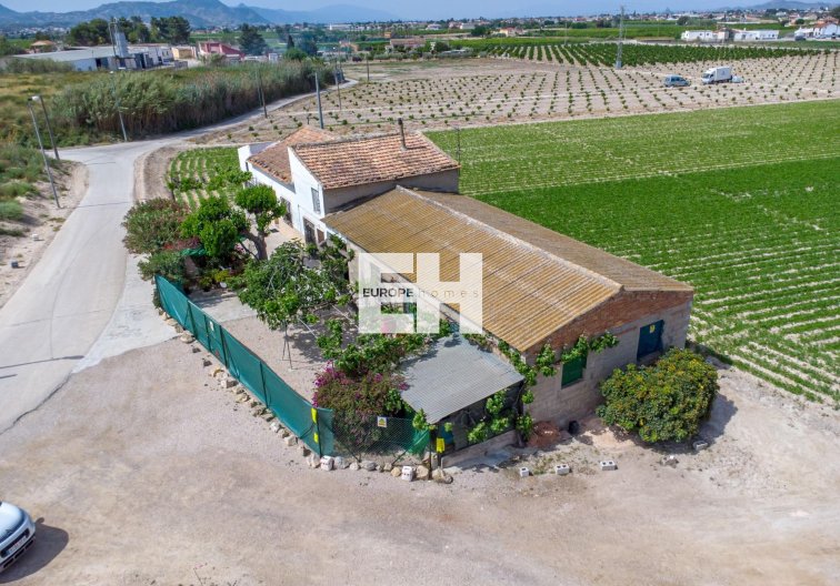 Resale - Finca - Orihuela - Desamparados-hurchillo-torremendo