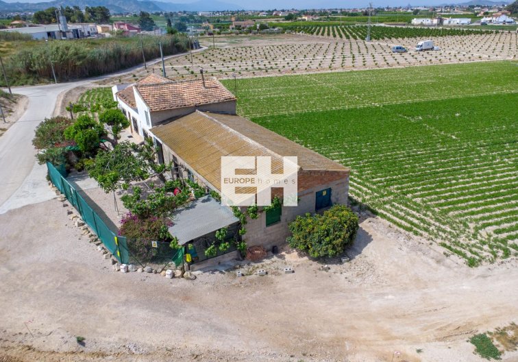 Resale - Finca - Orihuela - Desamparados-hurchillo-torremendo