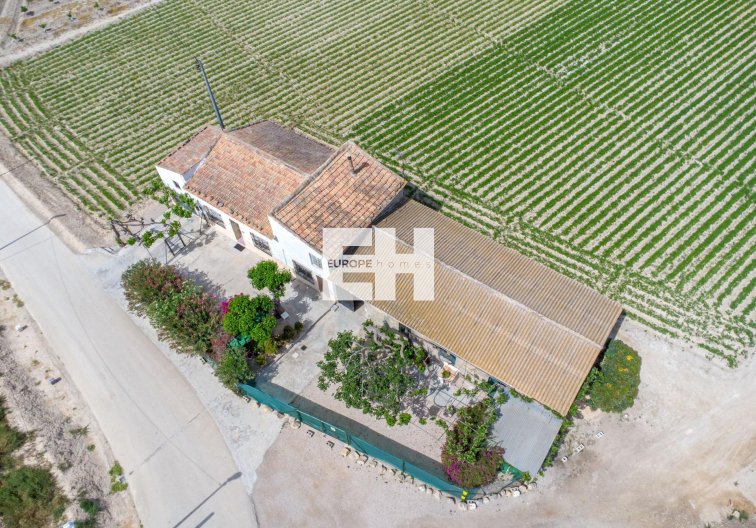 Resale - Finca - Orihuela - Desamparados-hurchillo-torremendo