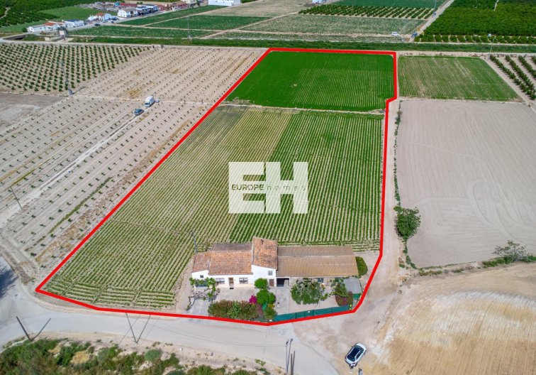 Resale - Finca - Orihuela - Desamparados-hurchillo-torremendo