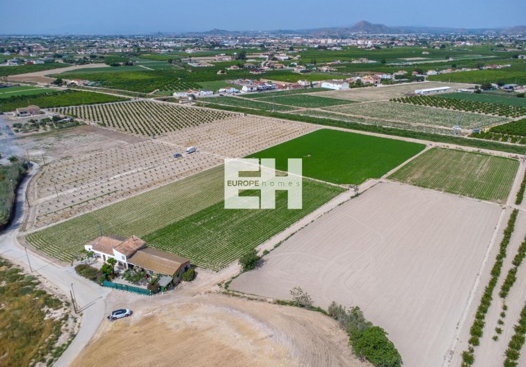 Resale - Finca - Orihuela - Desamparados-hurchillo-torremendo