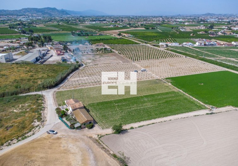 Resale - Finca - Orihuela - Desamparados-hurchillo-torremendo