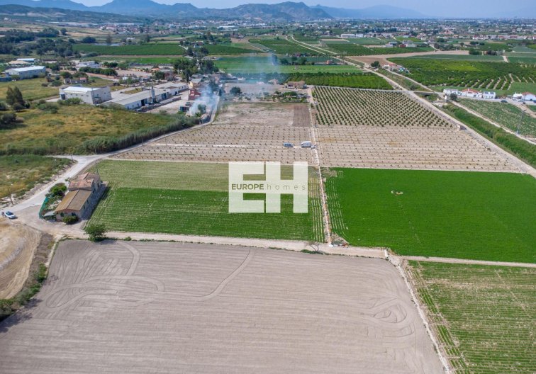 Resale - Finca - Orihuela - Desamparados-hurchillo-torremendo