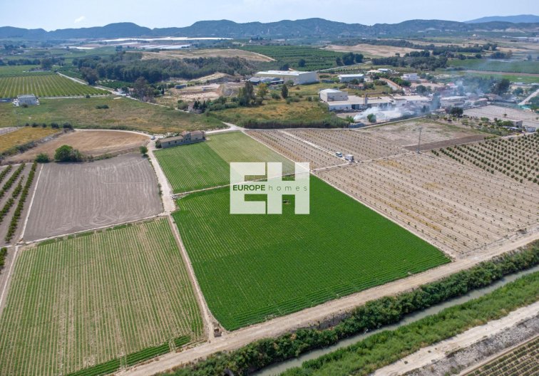 Resale - Finca - Orihuela - Desamparados-hurchillo-torremendo