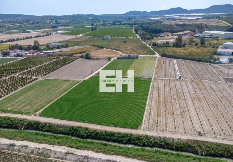 Resale - Finca - Orihuela - Desamparados-hurchillo-torremendo