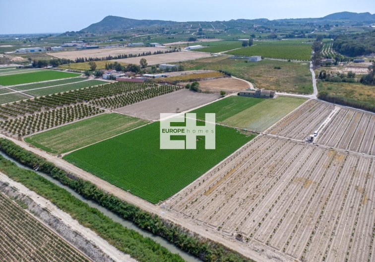 Resale - Finca - Orihuela - Desamparados-hurchillo-torremendo
