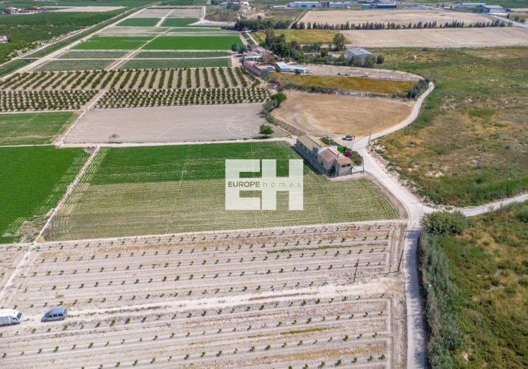 Resale - Finca - Orihuela - Desamparados-hurchillo-torremendo