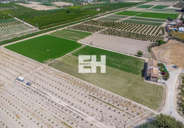 Resale - Finca - Orihuela - Desamparados-hurchillo-torremendo