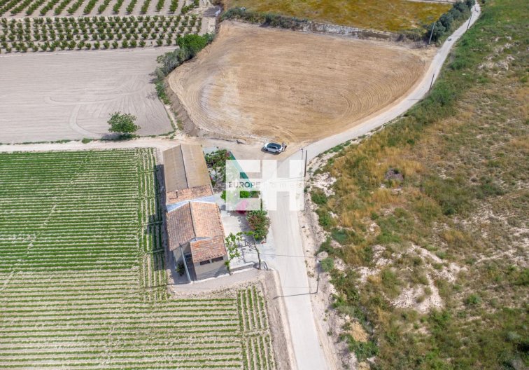 Resale - Finca - Orihuela - Desamparados-hurchillo-torremendo