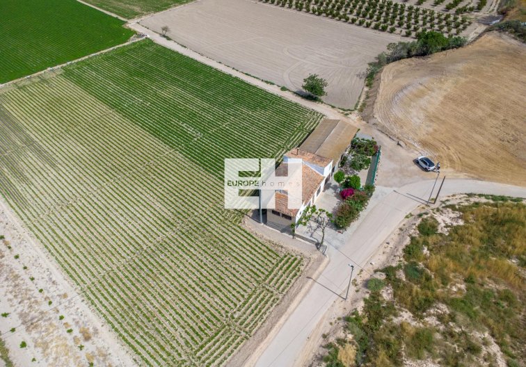 Resale - Finca - Orihuela - Desamparados-hurchillo-torremendo