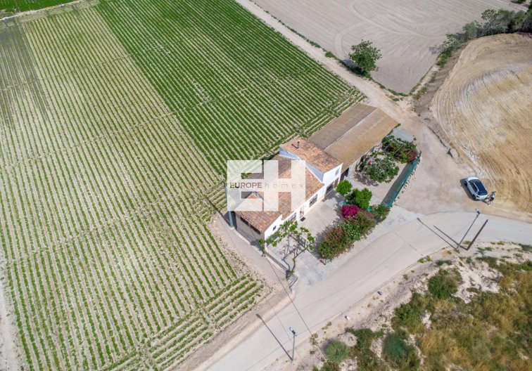 Resale - Finca - Orihuela - Desamparados-hurchillo-torremendo