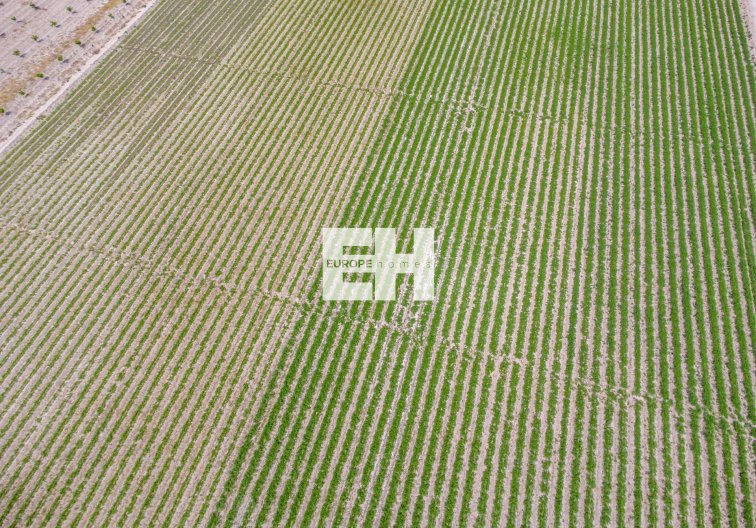 Resale - Finca - Orihuela - Desamparados-hurchillo-torremendo