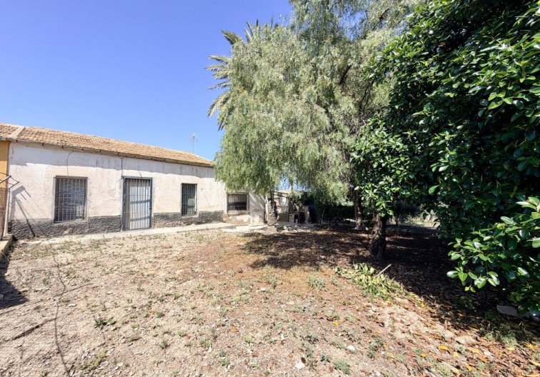 Segunda mano - Finca - La Marina - Costa Blanca