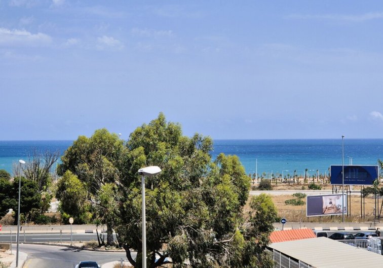 Segunda mano - Apartamento  - Playa Flamenca - Costa Blanca